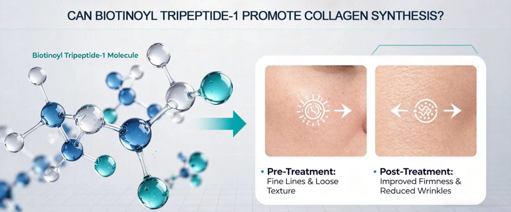 Biotinoyl Tripeptide-1