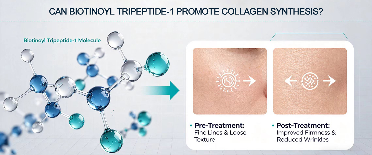 Can Biotinoyl Tripeptide-1 promote collagen synthesis?