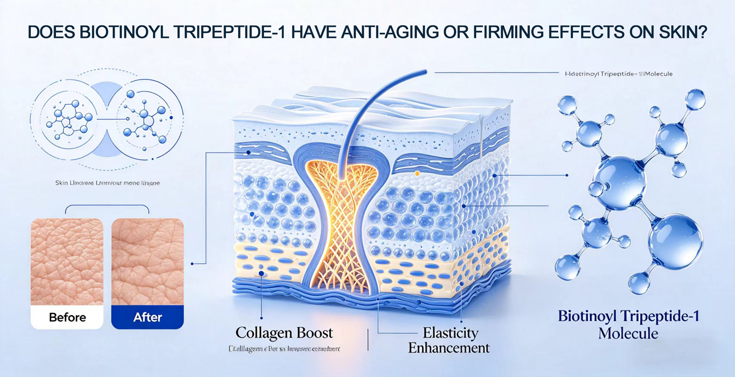 Does Biotinoyl Tripeptide-1 have Anti-Aging or Firming effects on skin?
