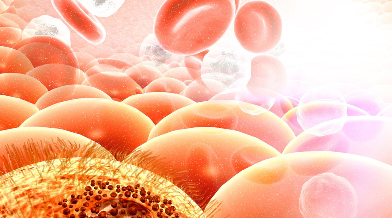 Efficacy and functions of 5-Amino 1MQ