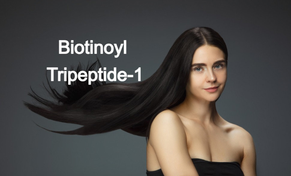 Mecanismo de Biotinoyl Tripéptido-1