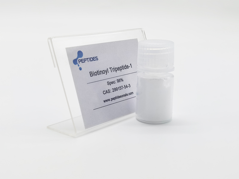 Comprehensive Study of Biotinoyl Tripeptide-1