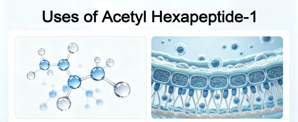 Acetyl Hexapeptide-1