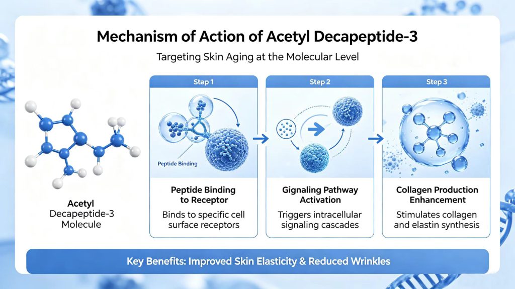 Acetyl Decapeptide-3