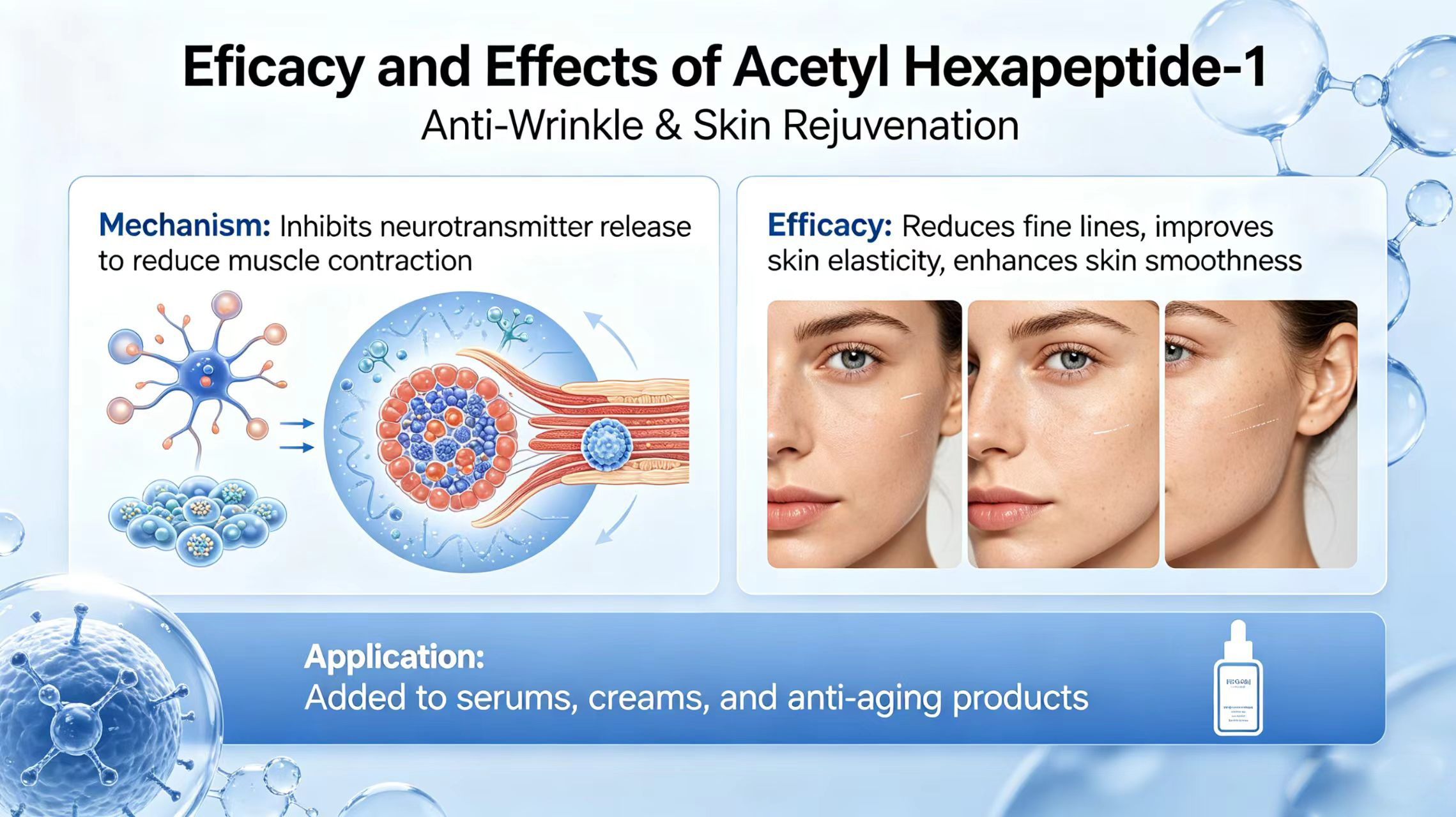 Efficacy and Functions of Acetyl Hexapeptide-1