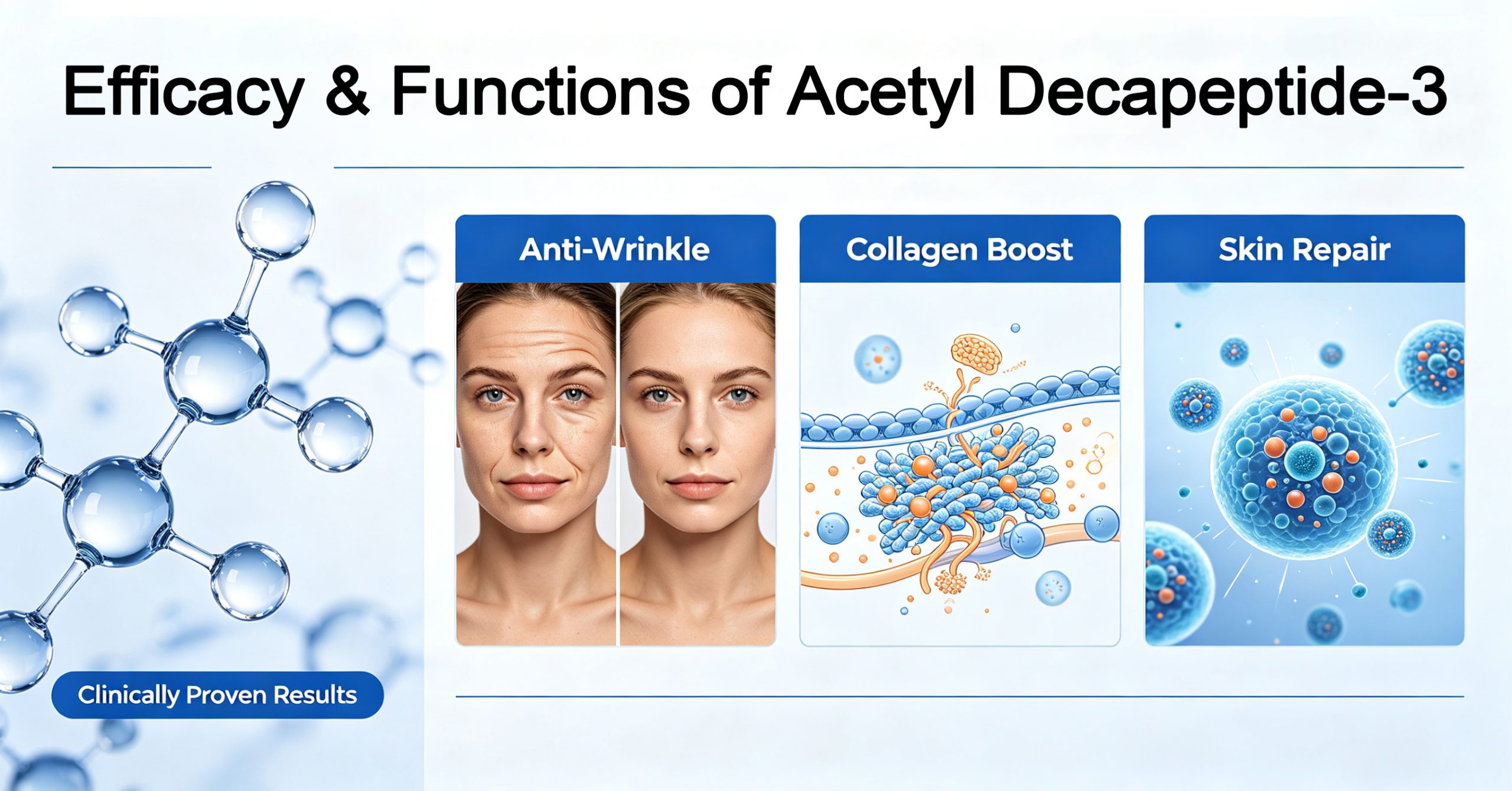 Efficacy and Functions of Acetyl Decapeptide-3