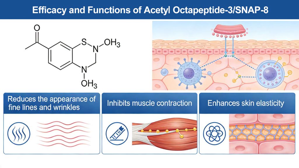 Acetyl Octapeptide-3